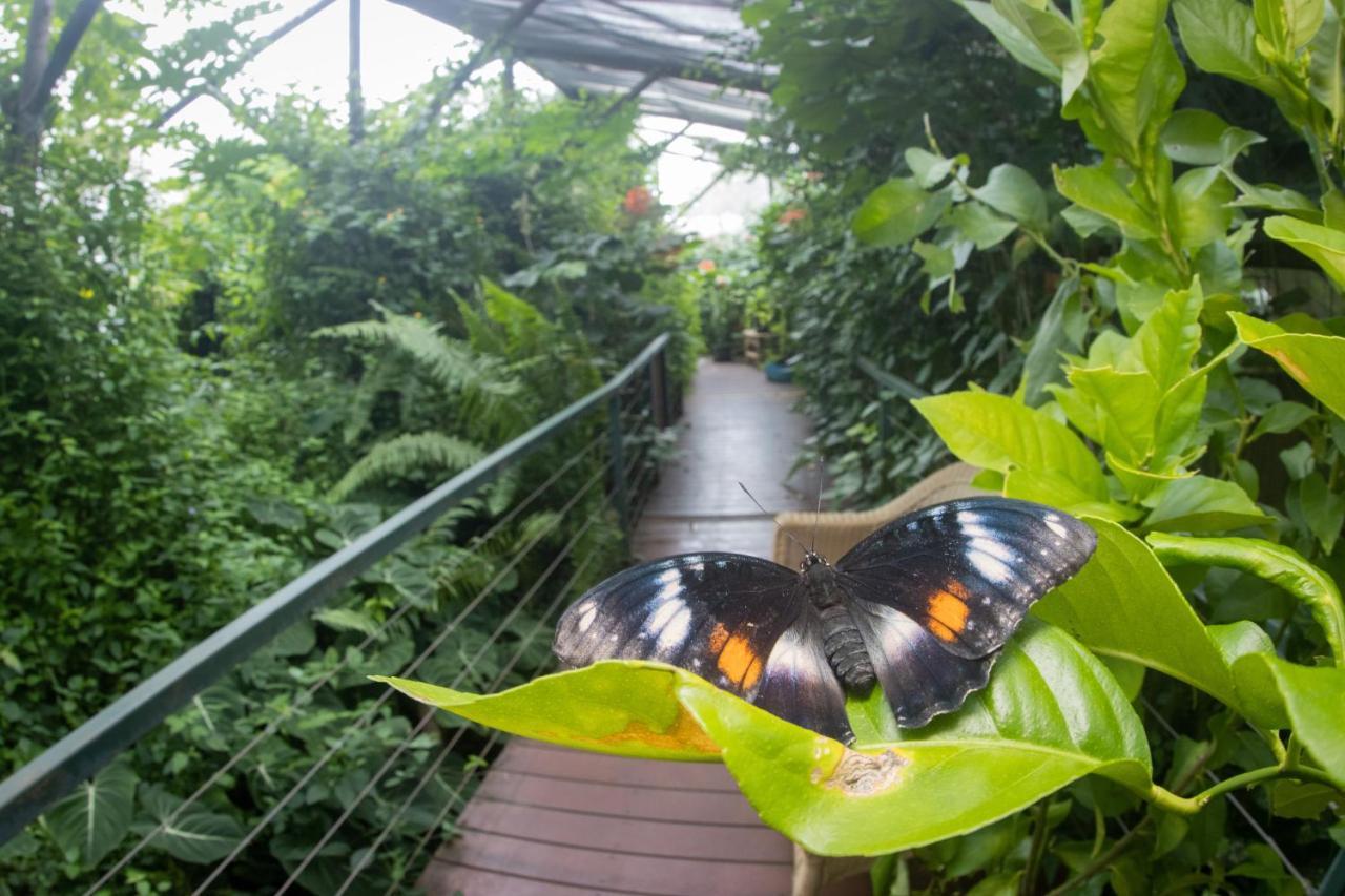 Hotel Batchelor Butterfly Farm Zewnętrze zdjęcie