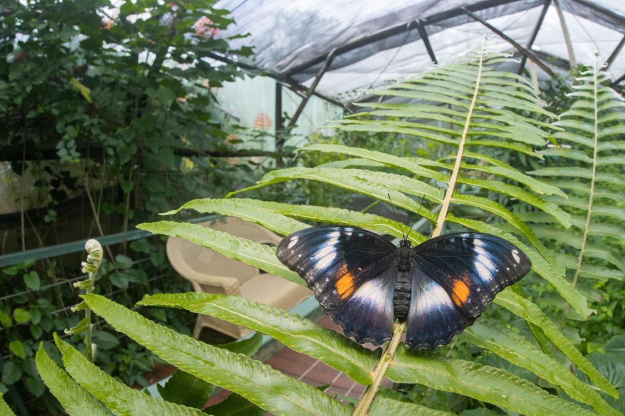 Hotel Batchelor Butterfly Farm Zewnętrze zdjęcie